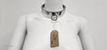 Stainless Steel heavy duty collar