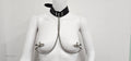 Soft Leather collar with nipple clamp attachments