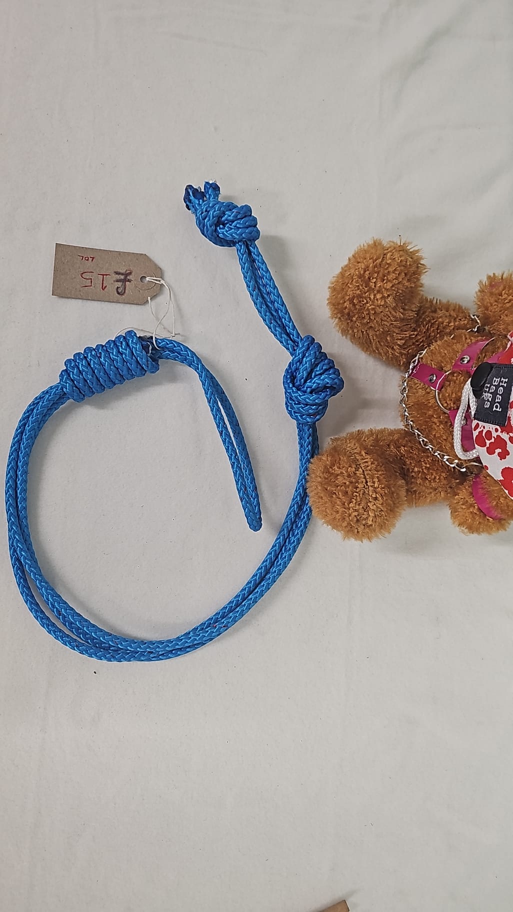Blue Rope Whip