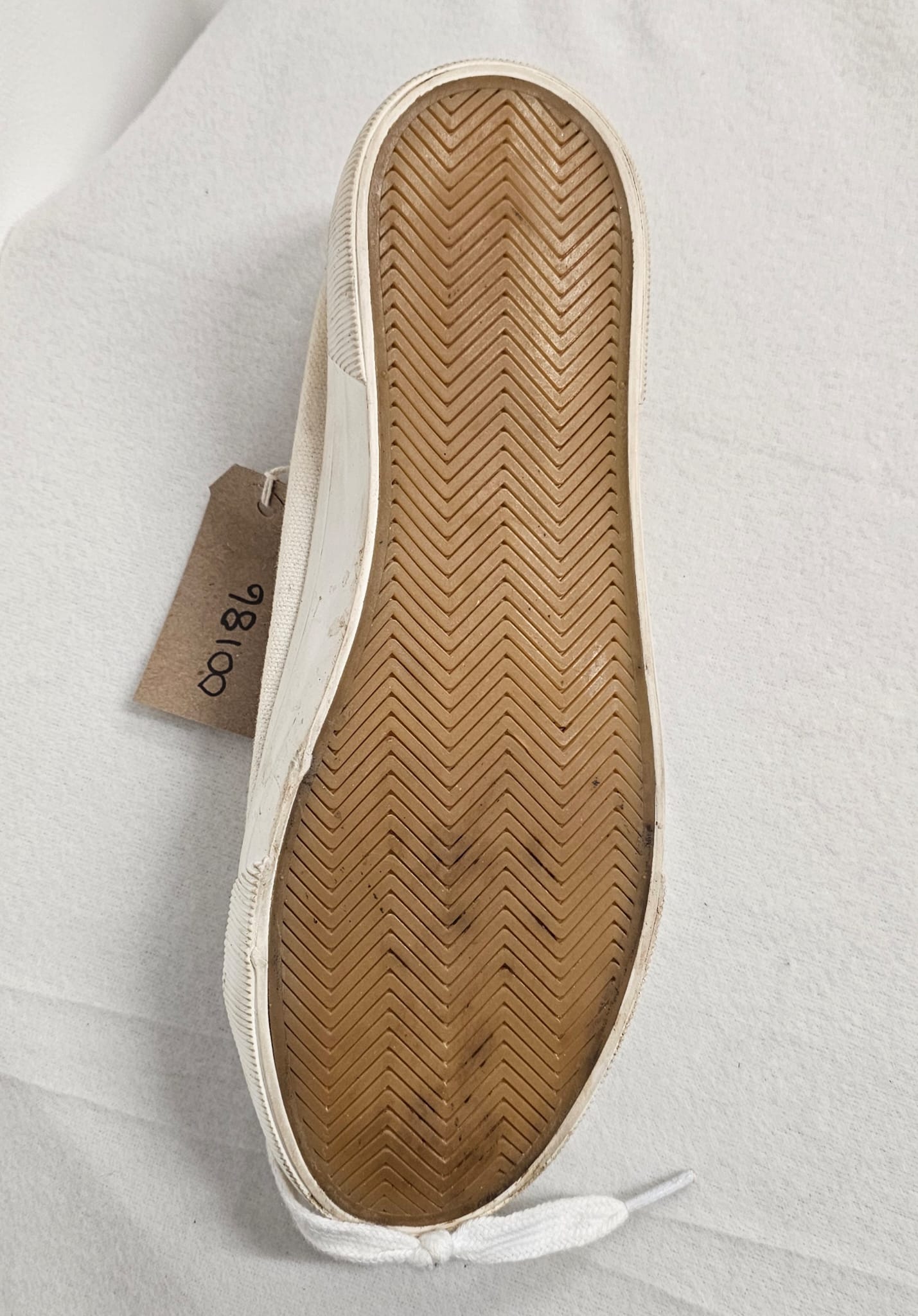 Cream Plimsole Paddle